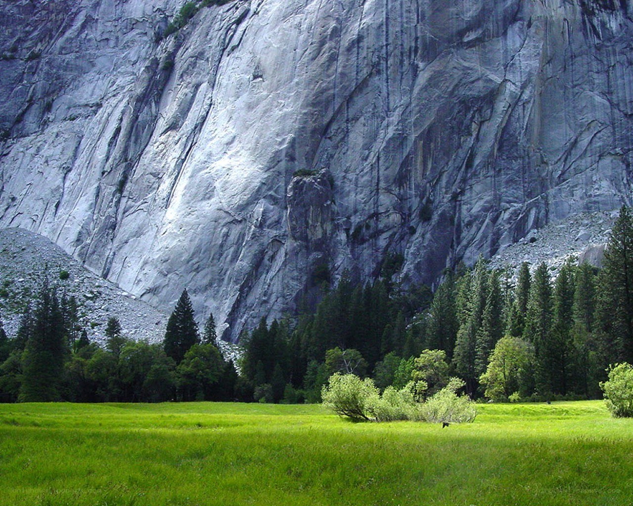 Grassy meadow with granite cliff