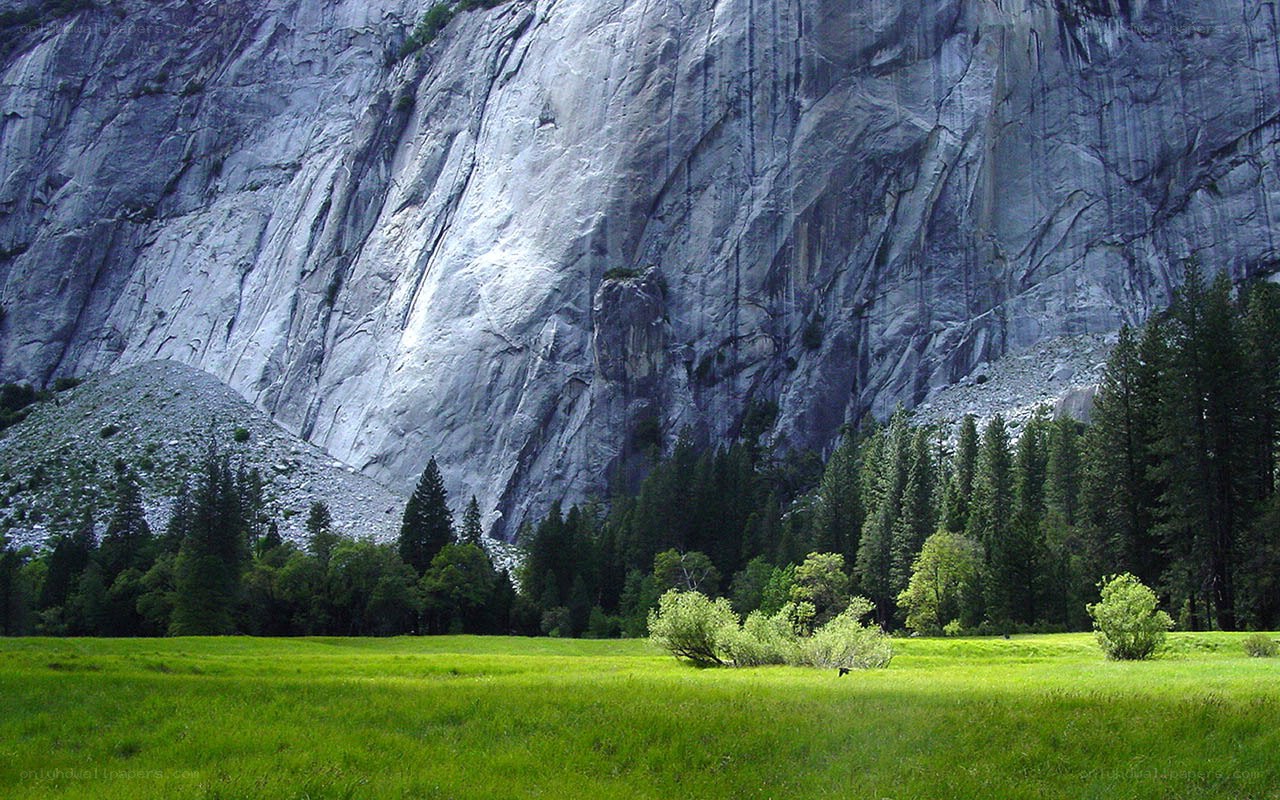 Grassy meadow with granite cliff