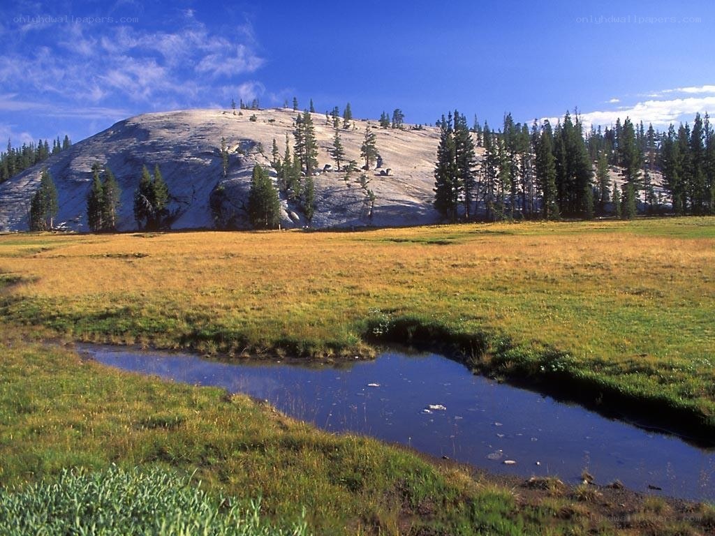 Grassy meadow with stream and rock formation