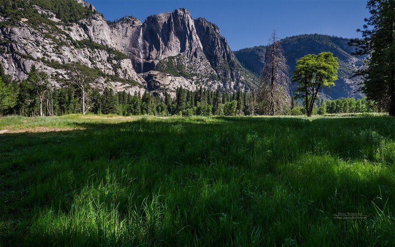Grassy Meadow with Waterfall