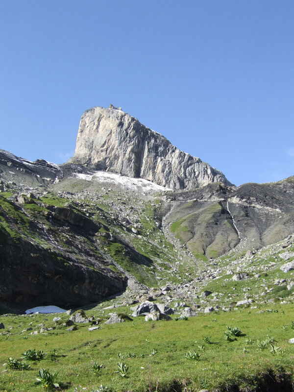 Grassy mountain landscape