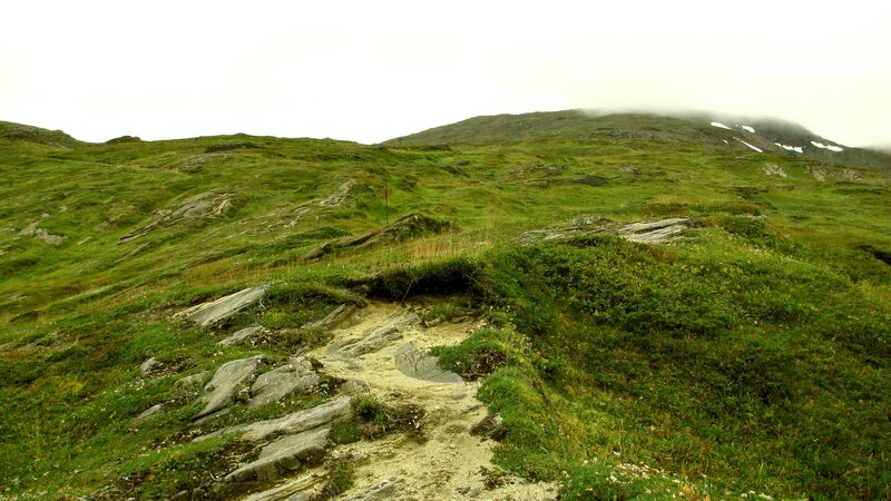 Grassy mountain trail
