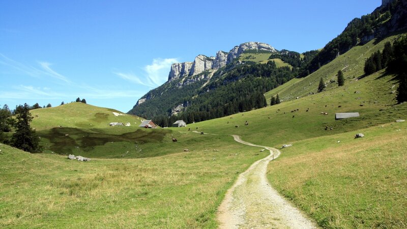 Grassy Mountain Valley