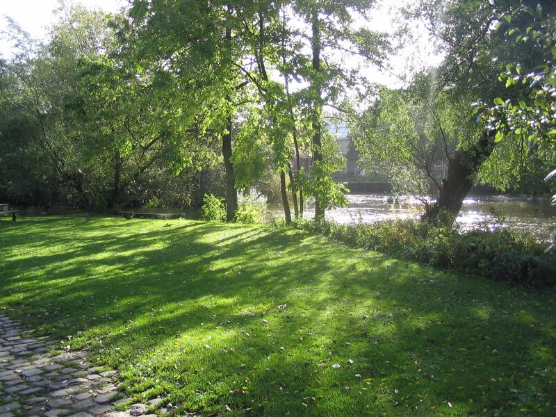Grassy park by a river