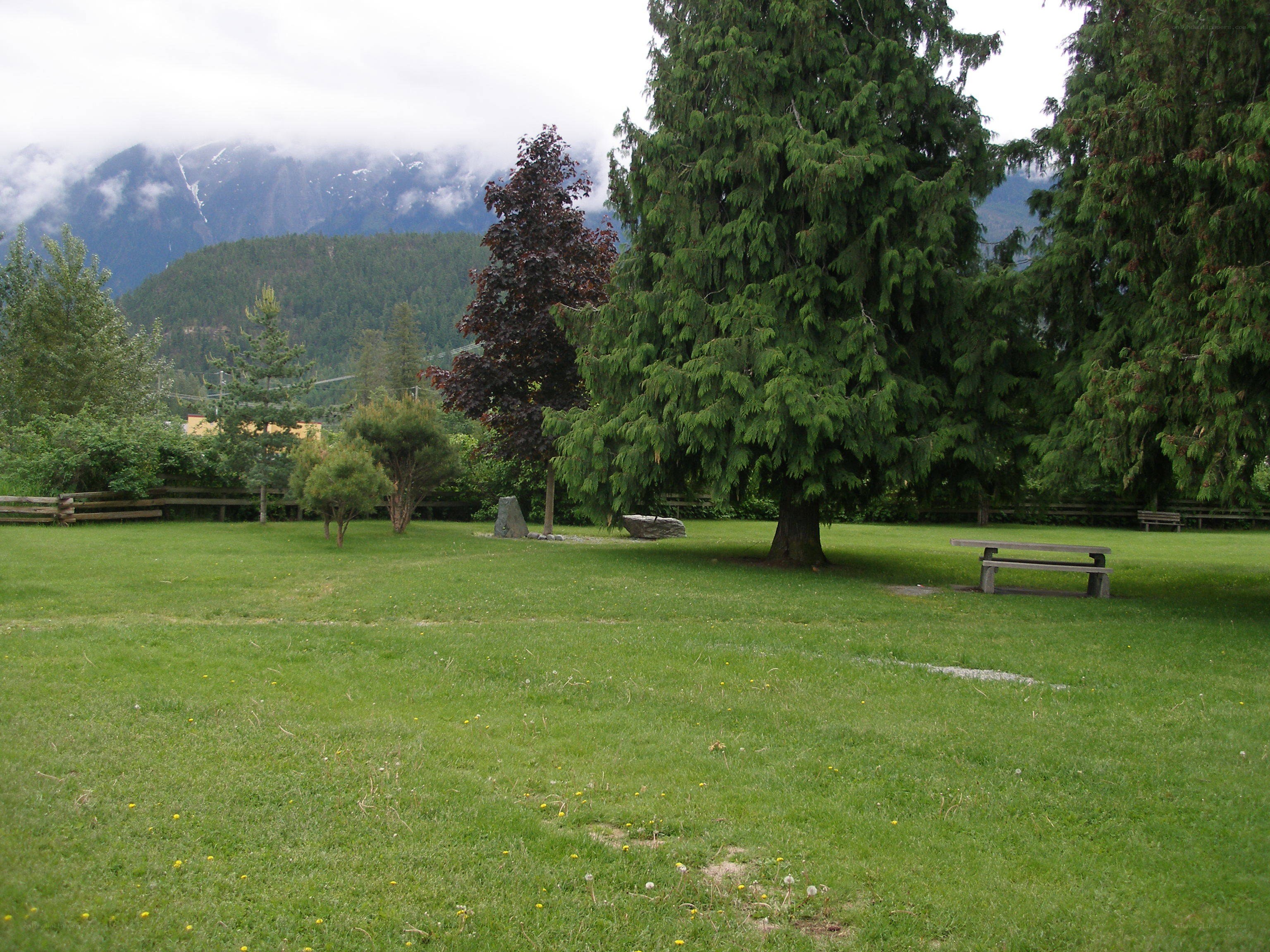 Grassy park with mountains