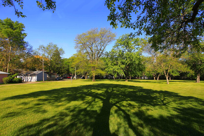 Grassy park with tree shadows
