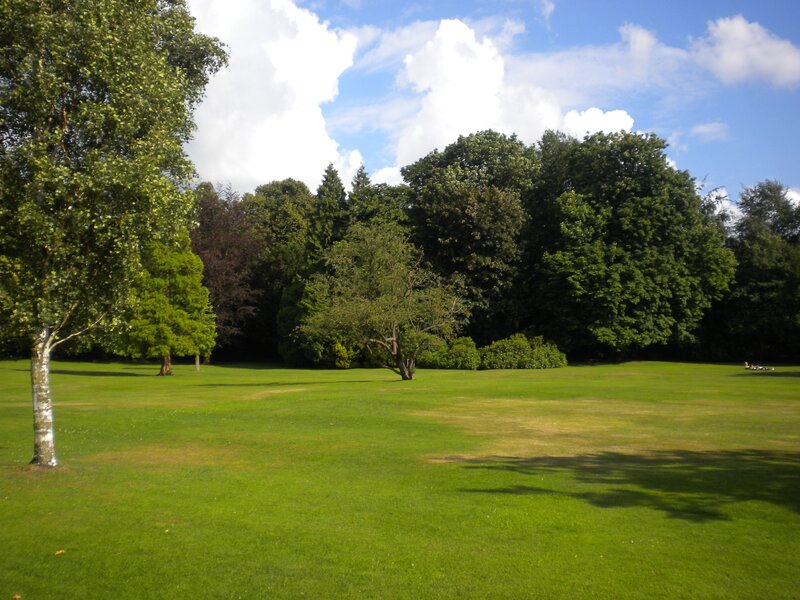 Grassy park with trees