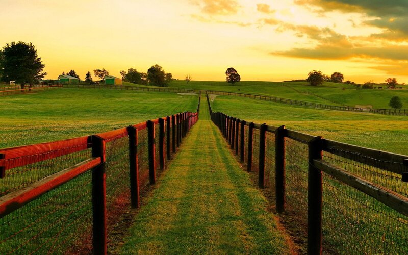 Grassy Path Between Fences