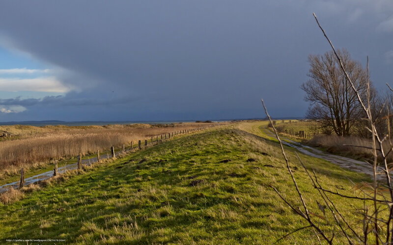 Grassy path by the sea