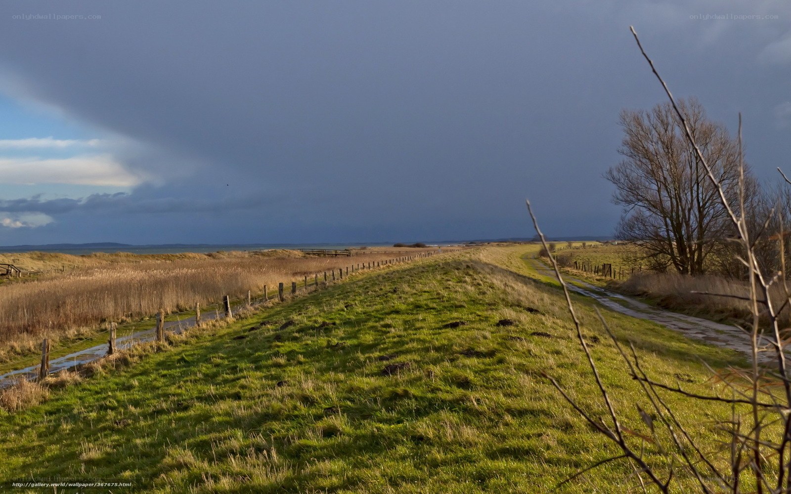 Grassy path by the sea