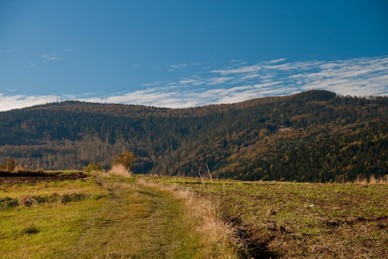 Grassy path in mountain landscape