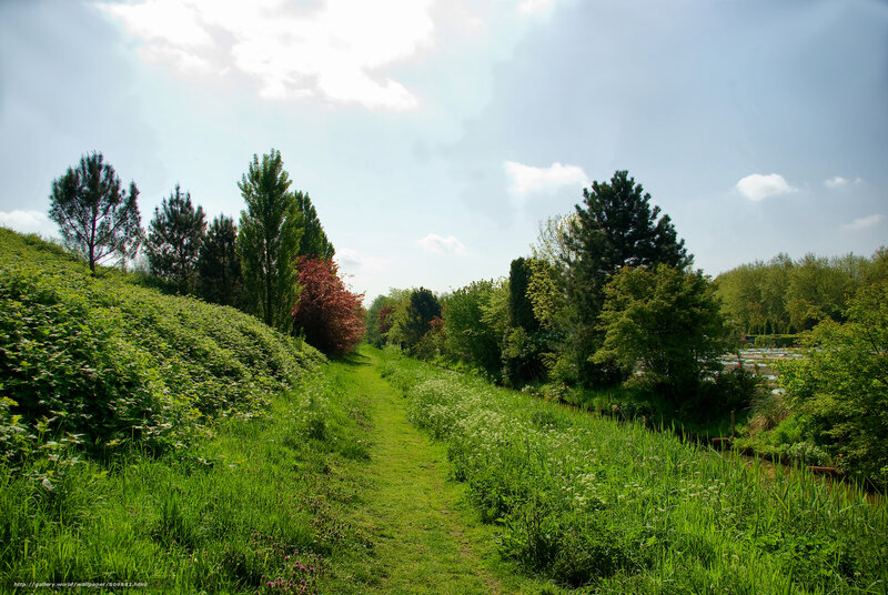Grassy Path in Park