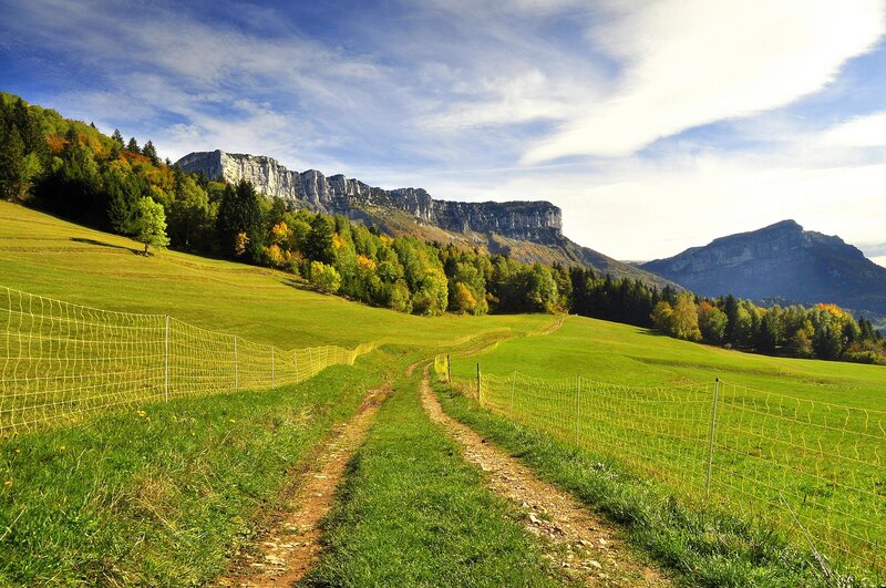 Grassy path leading to mountains
