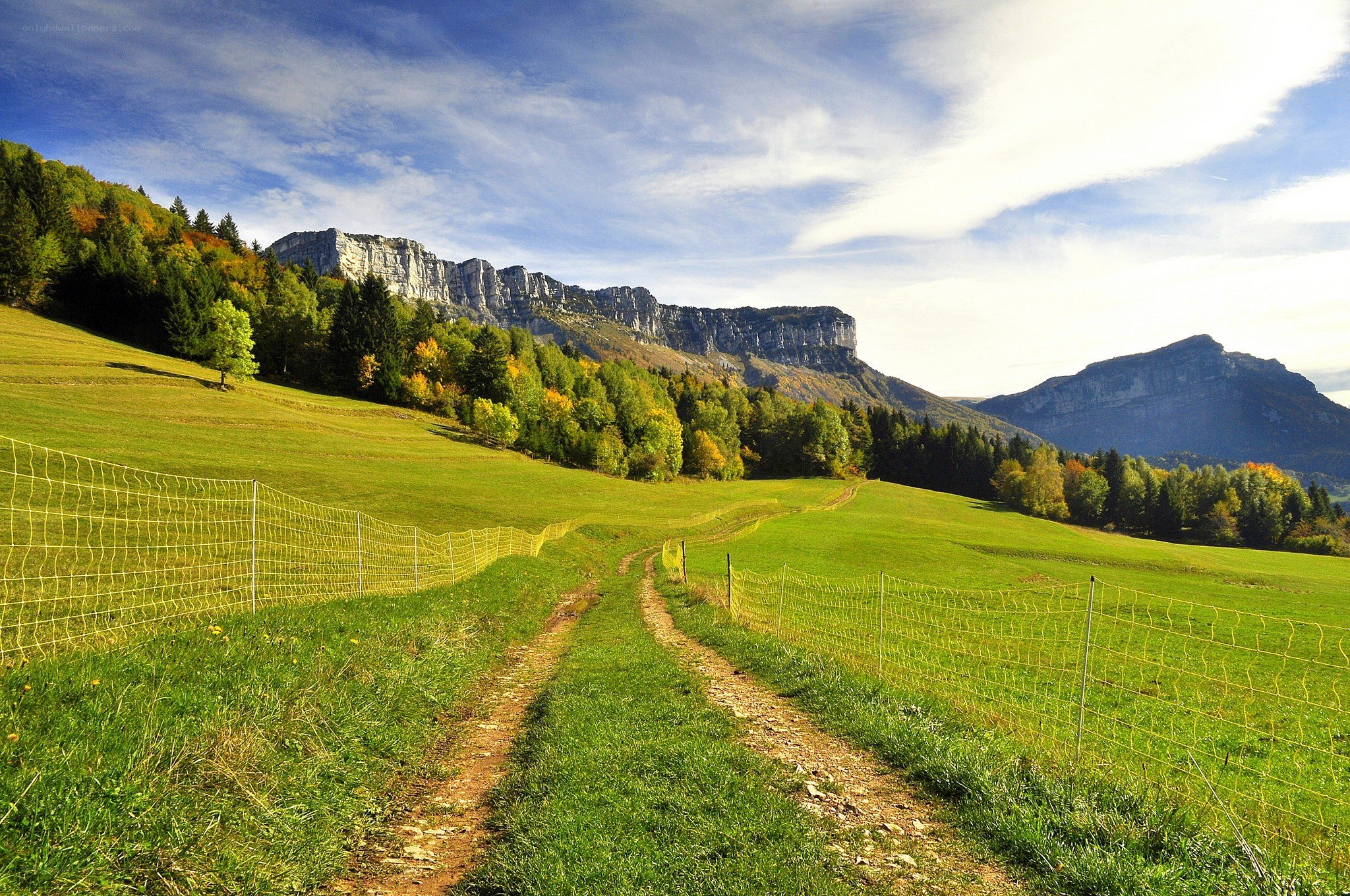 Grassy path leading to mountains
