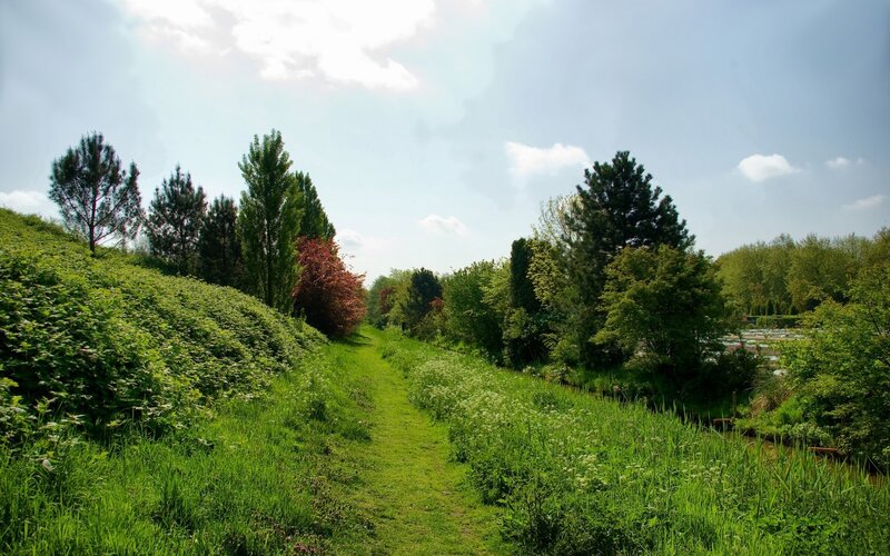Grassy path through a green landscape