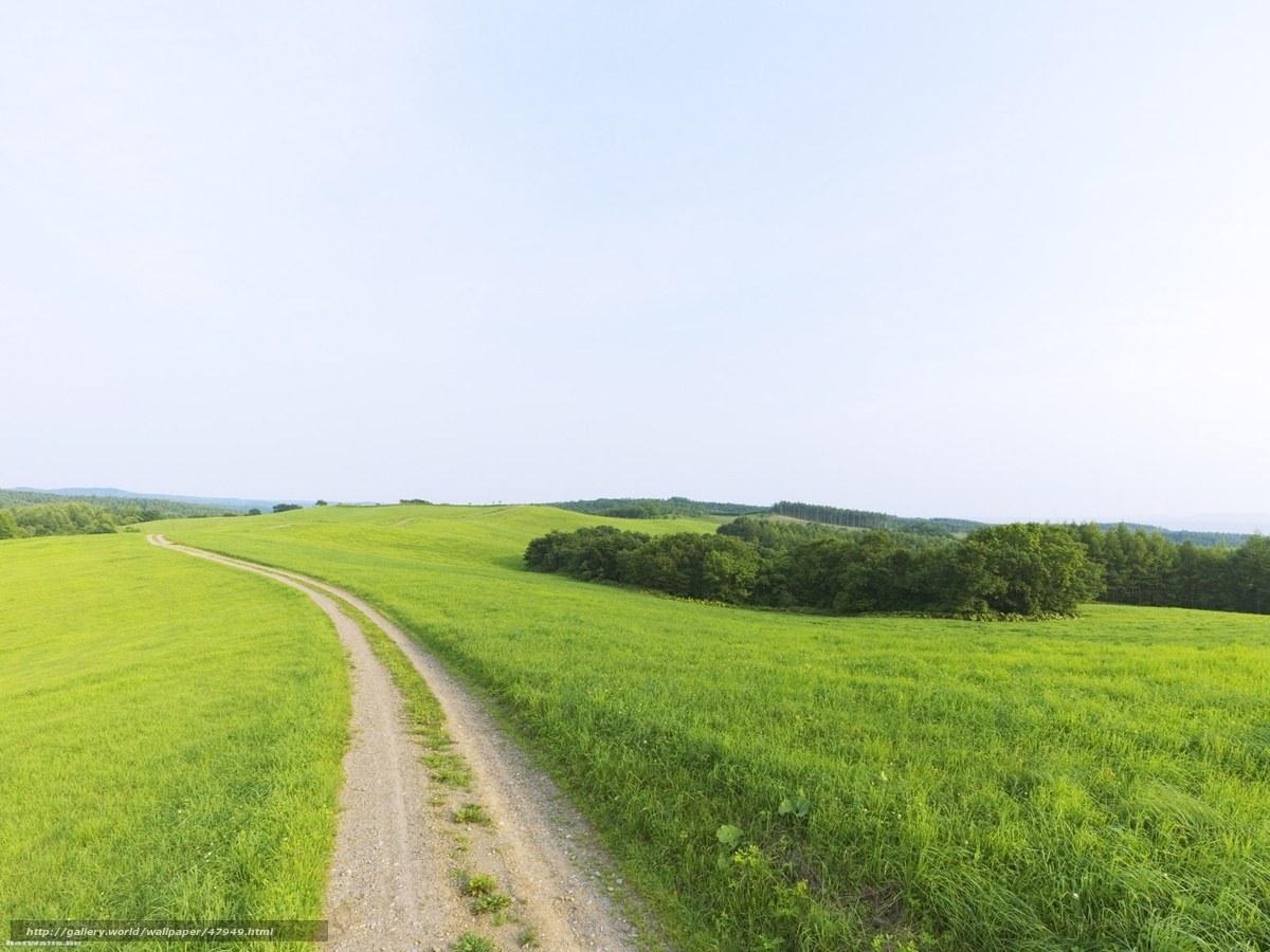 Grassy path through rolling hills