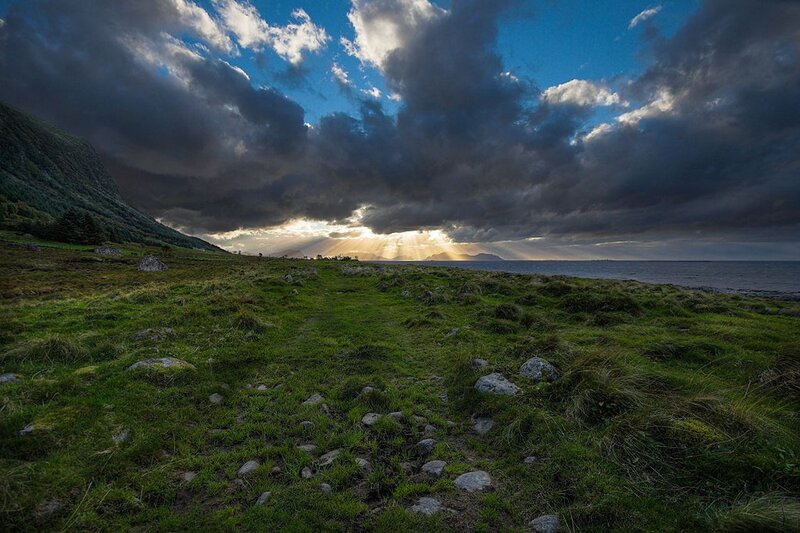 Grassy Path to Coastline