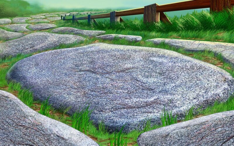 Grassy path with stone steps