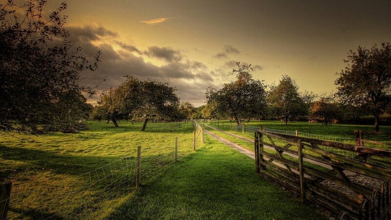 Grassy Path with Wooden Fence