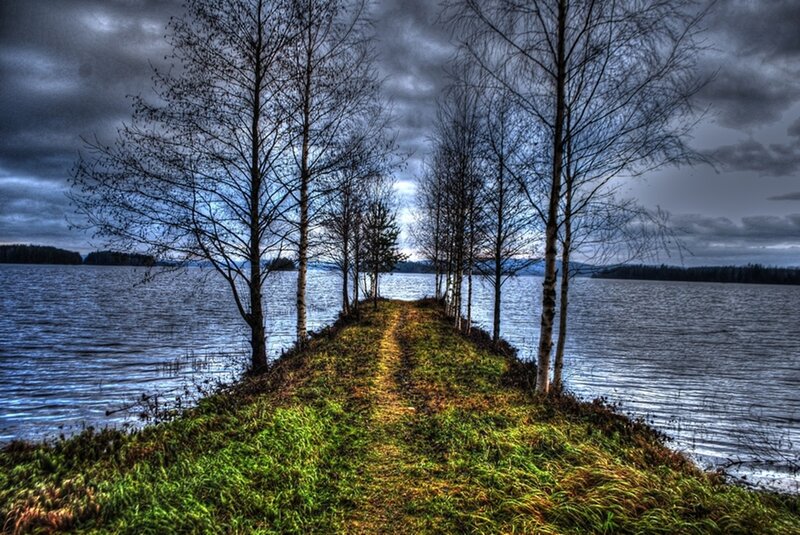 Grassy Peninsula with Trees