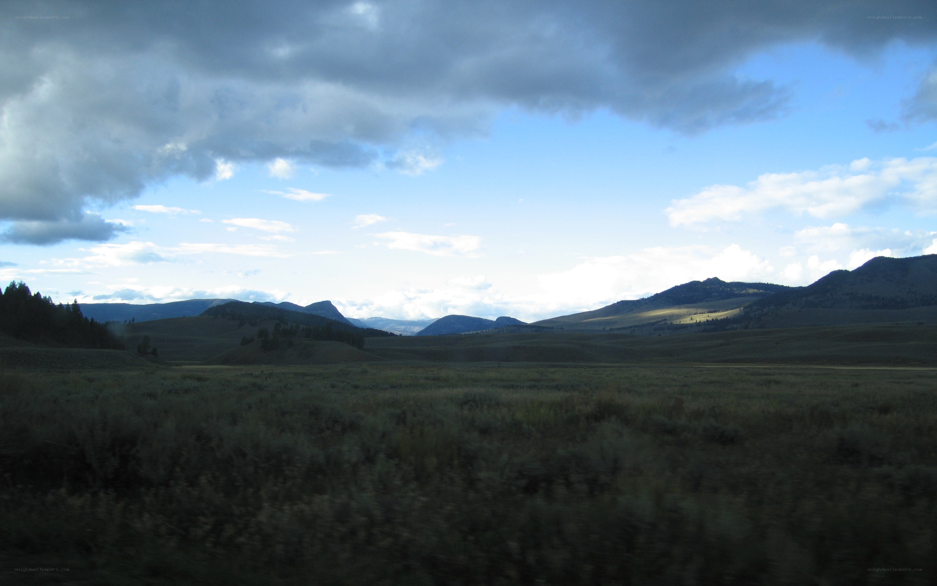 Grassy plains under cloudy sky