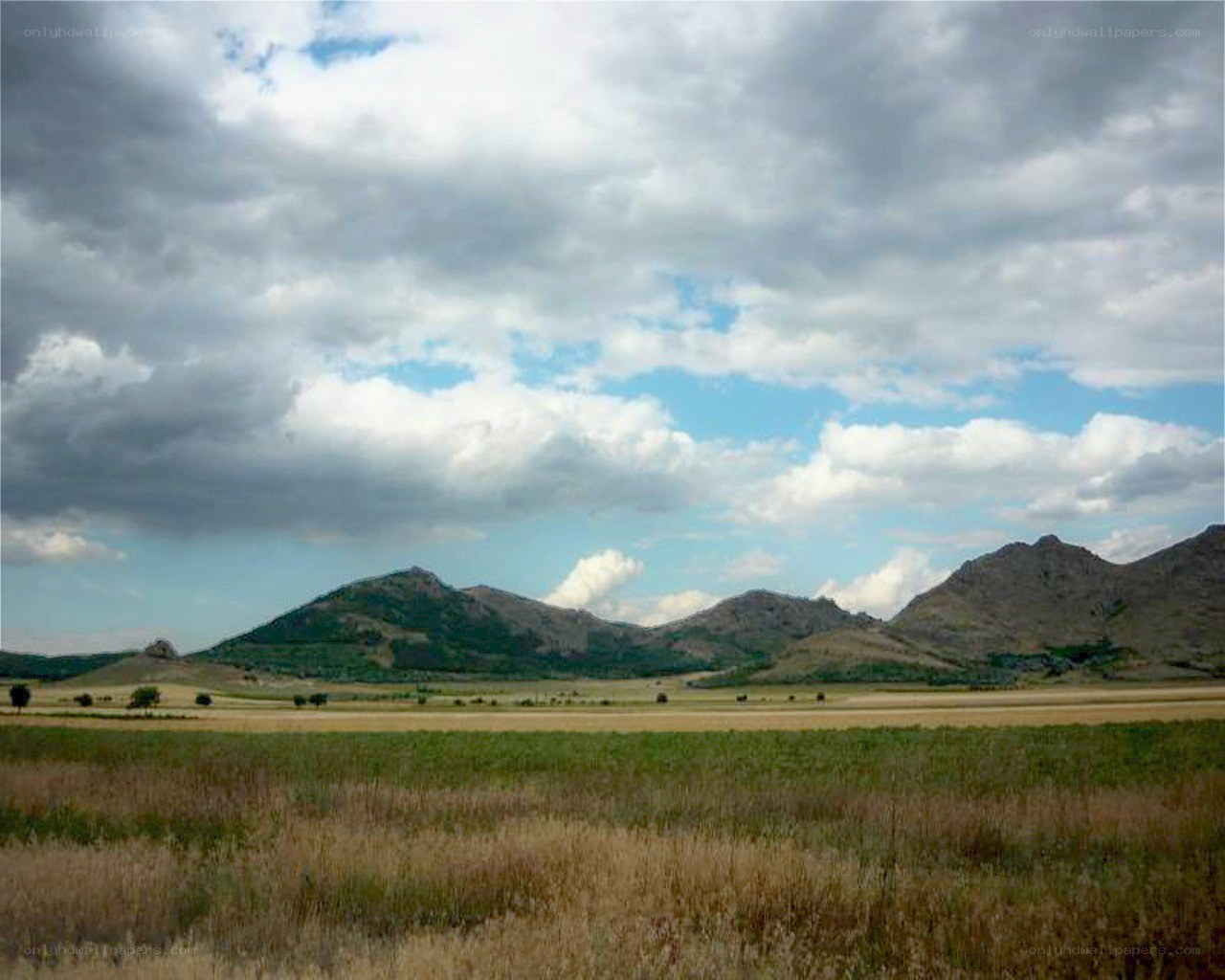 Grassy plains with mountains