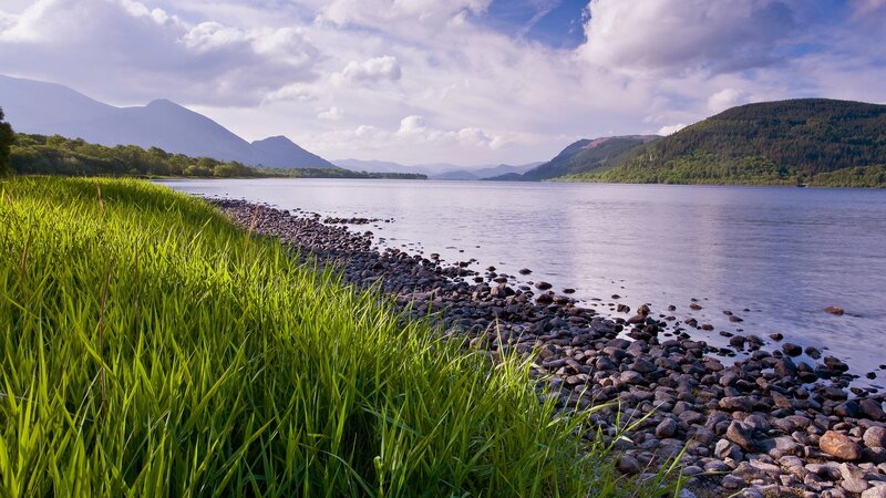 Grassy Shore by Lake