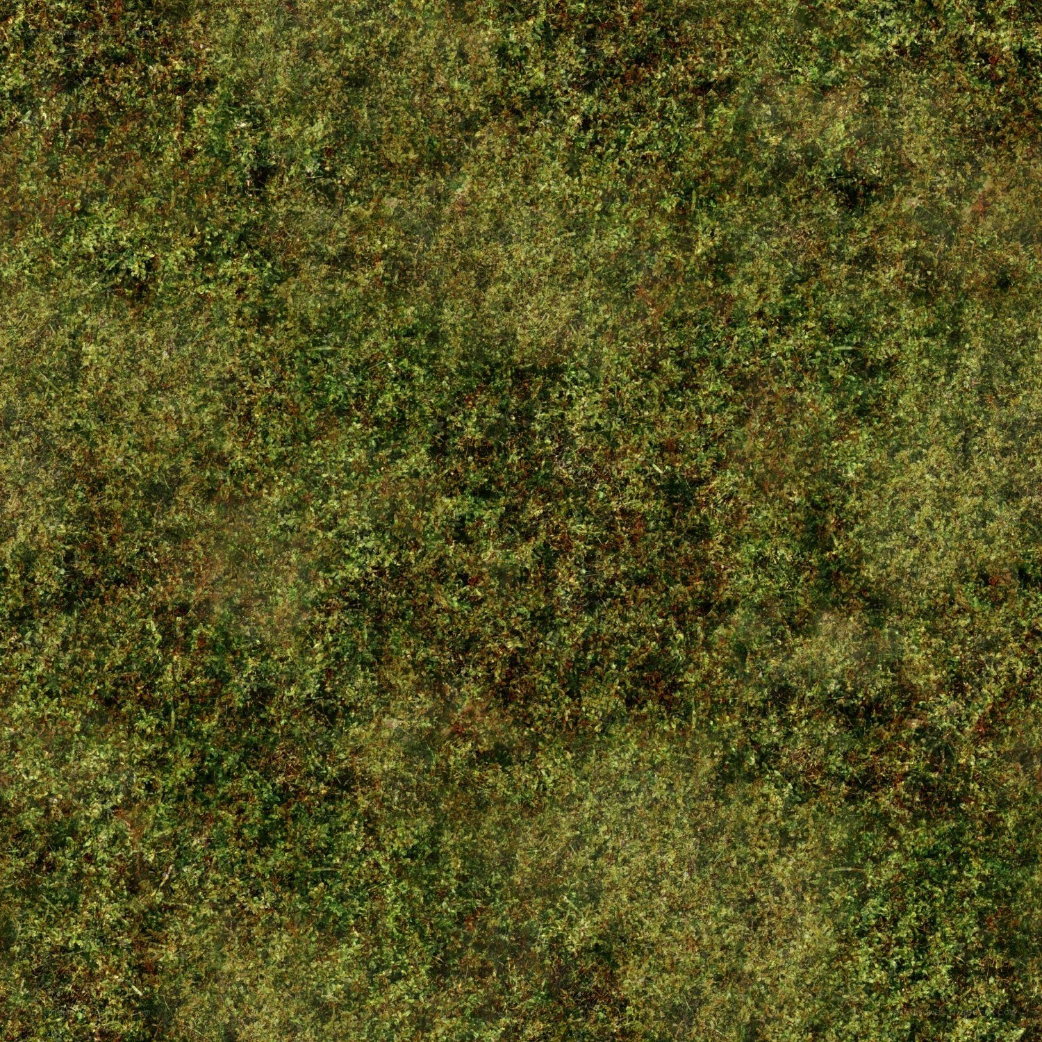 grassy texture background