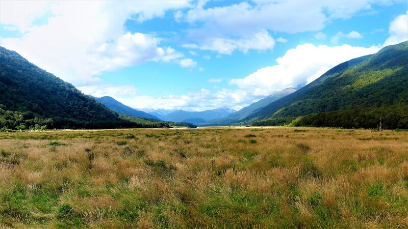 Grassy Valley Between Mountains
