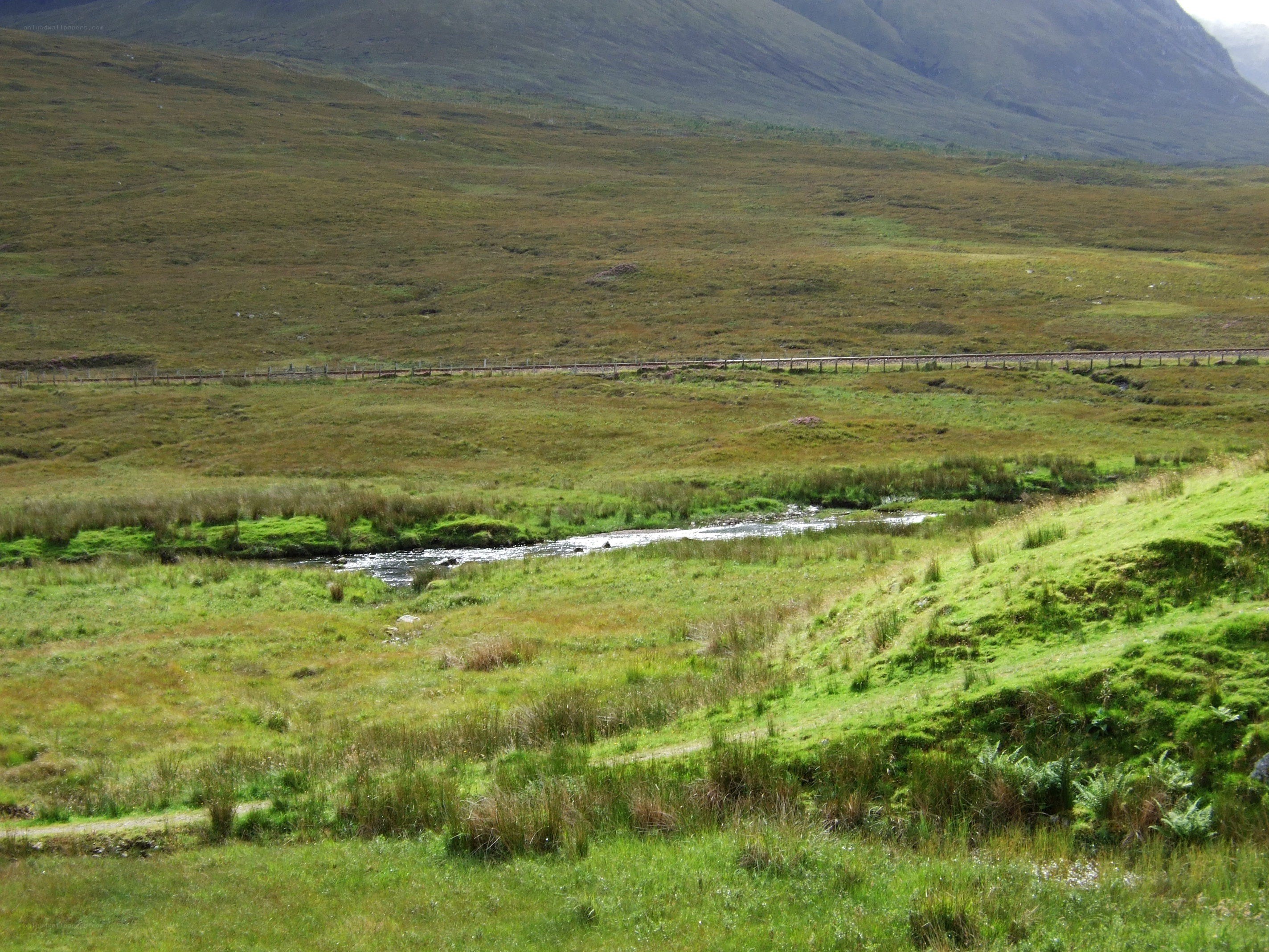 Grassy valley with stream and mountains