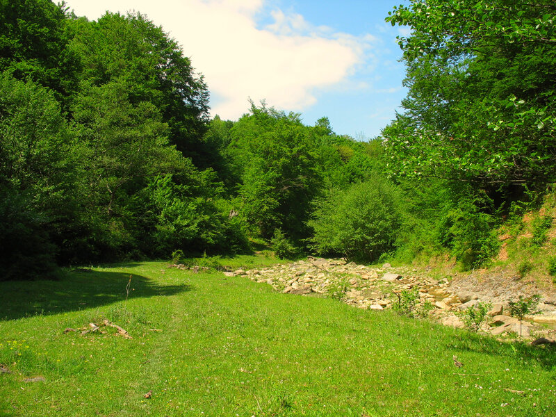 Grassy Valley with Stream