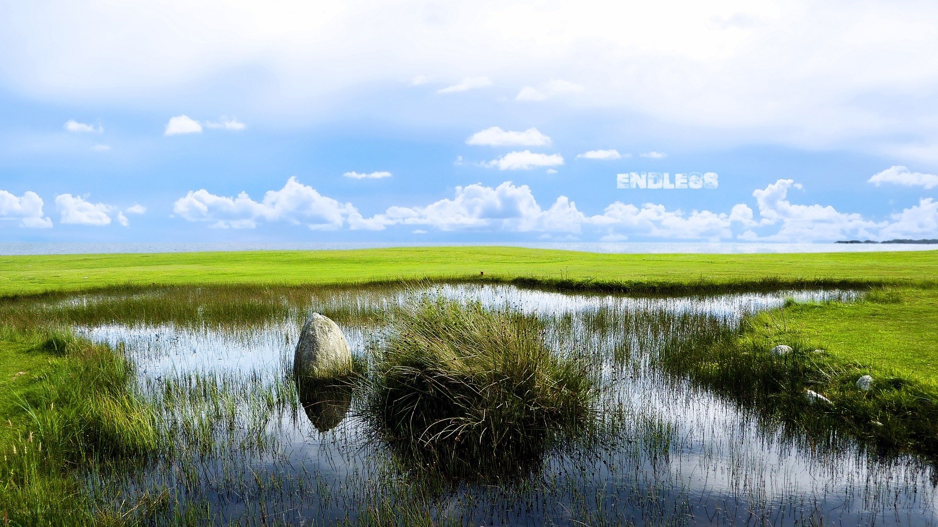 Grassy wetland with stone