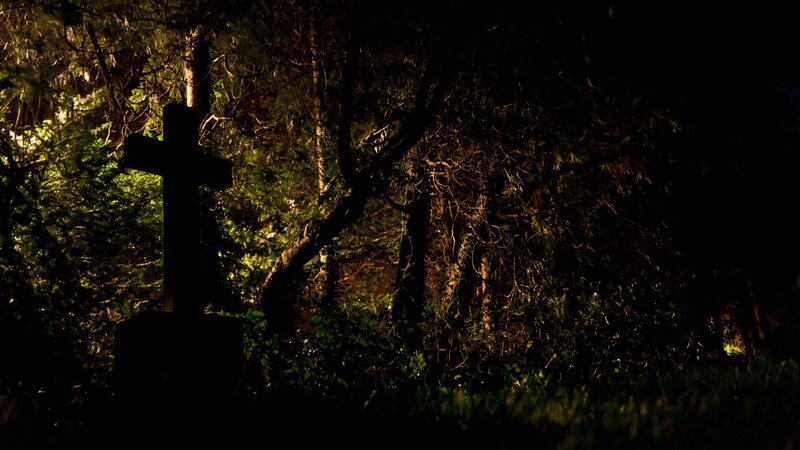 Grave Cross in Forest