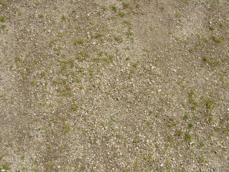 gravel and sparse grass ground
