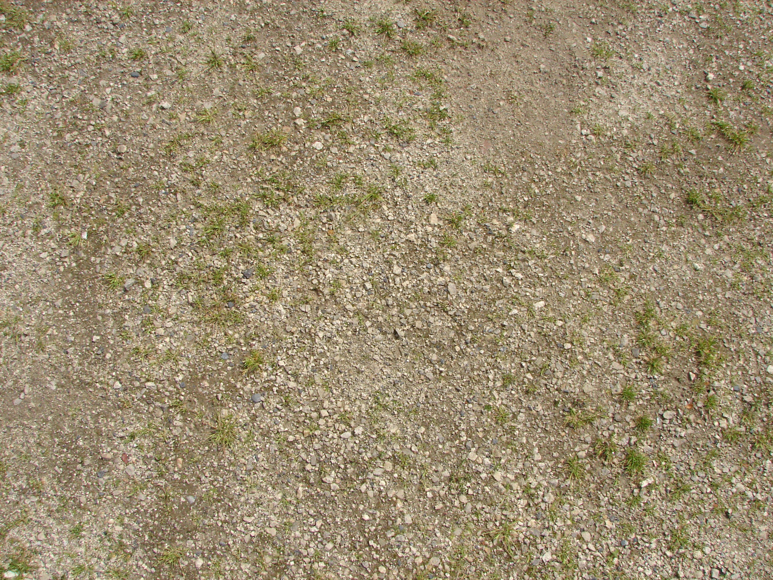 gravel and sparse grass ground