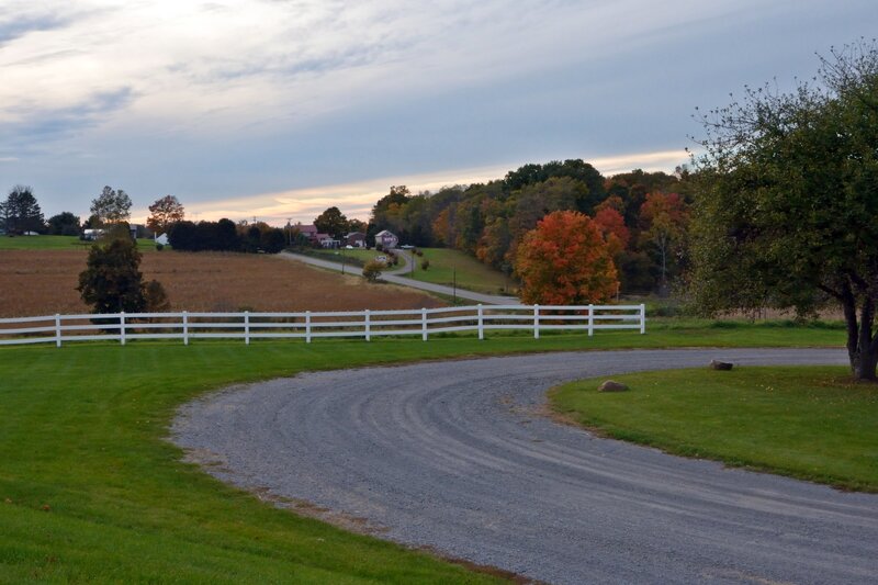 Gravel Driveway in Autumn