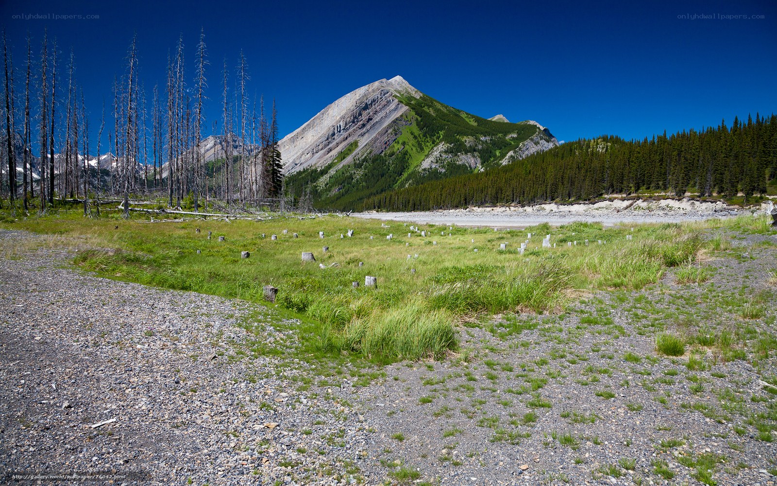 Gravel field with mountain view