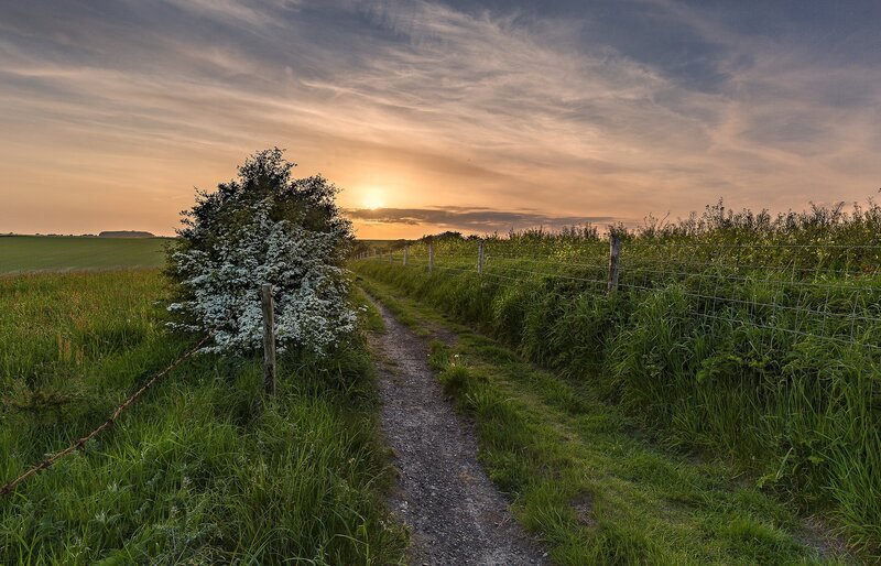 Gravel Path at Sunset — Green