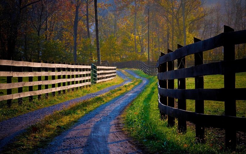 Gravel Path Between Fences