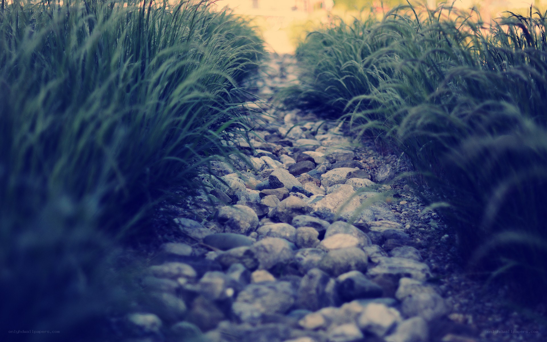 Gravel path between grass