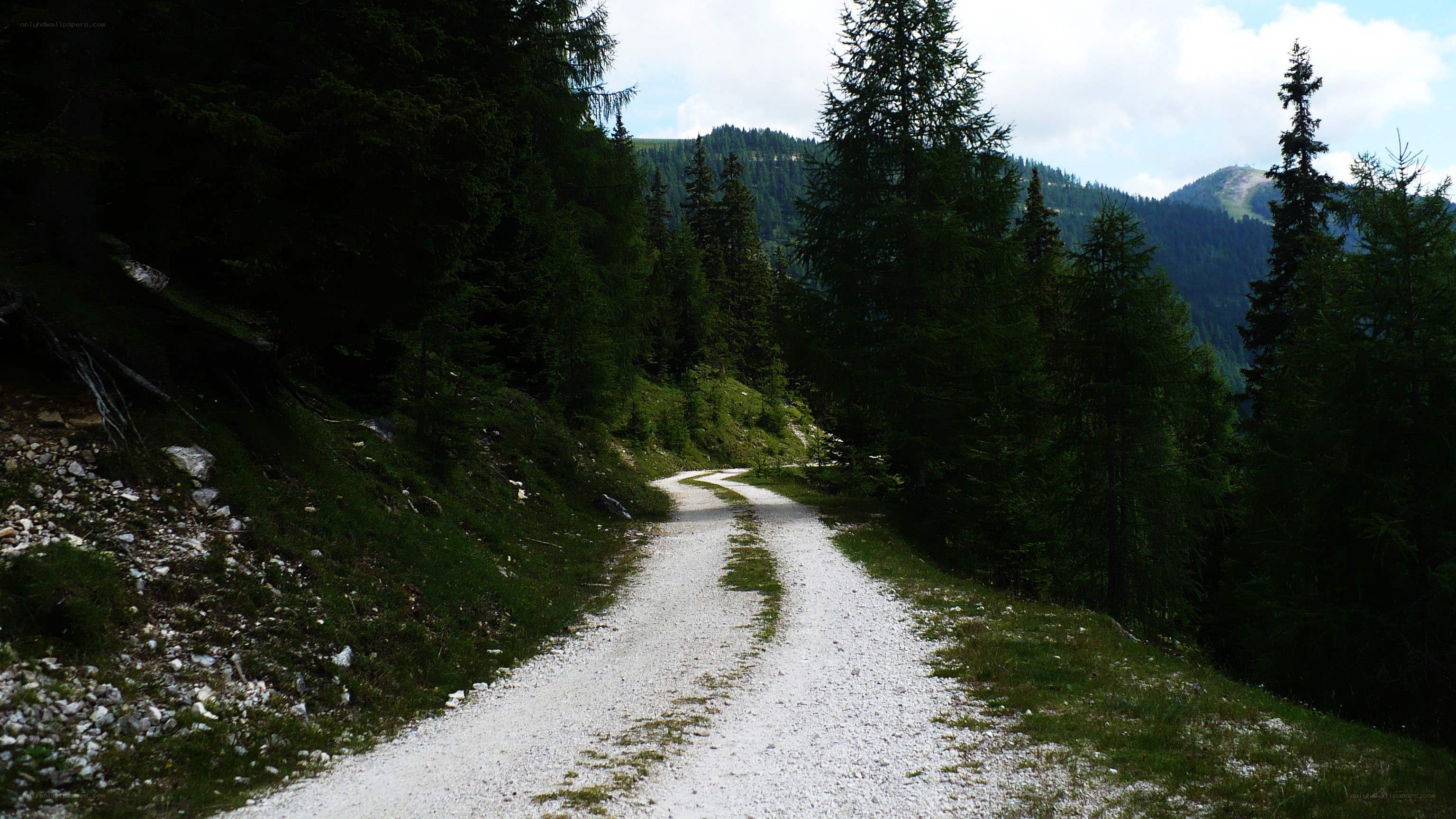 Gravel path in a forest