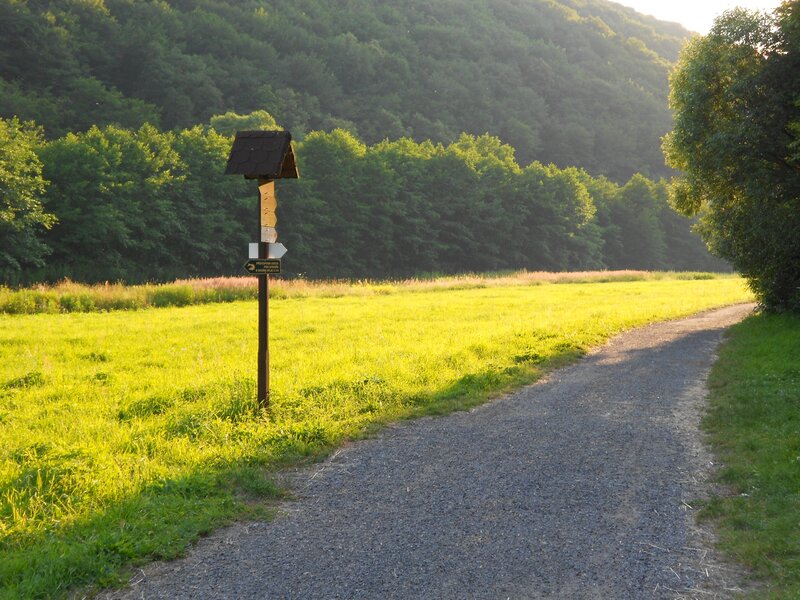 Gravel path in a green valley