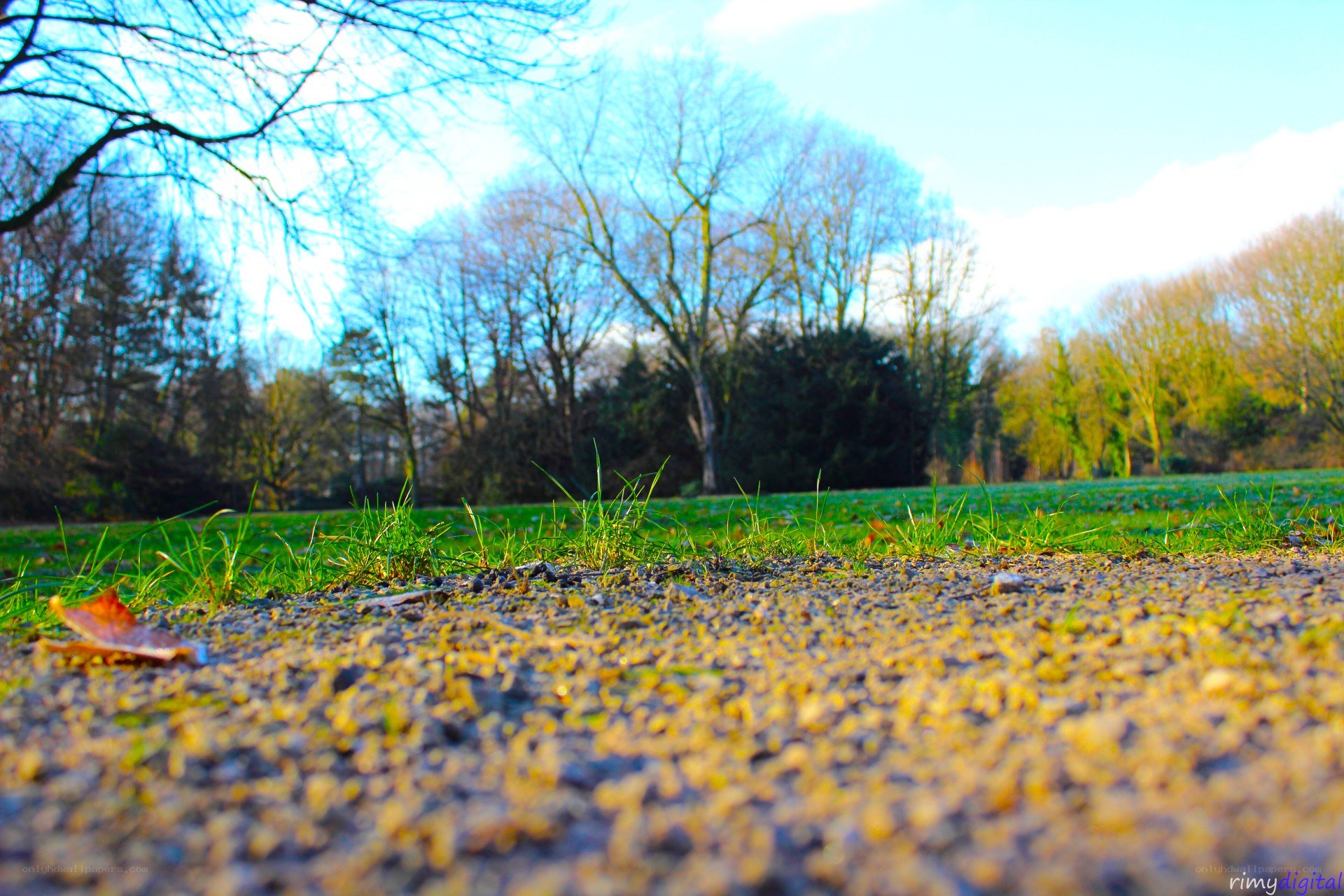 Gravel path in a park