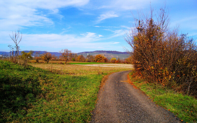 Gravel Path in Autumn Field