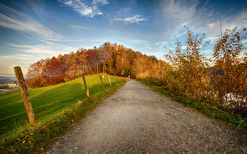 Gravel Path in Autumn — Green