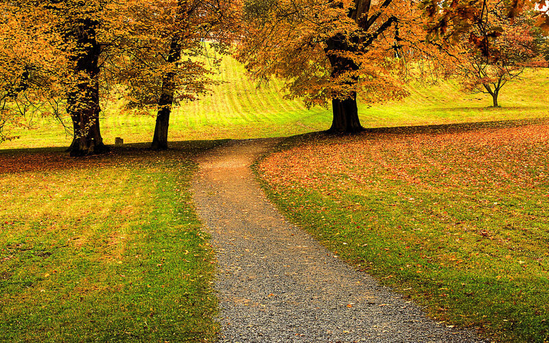 Gravel Path in Autumn Park