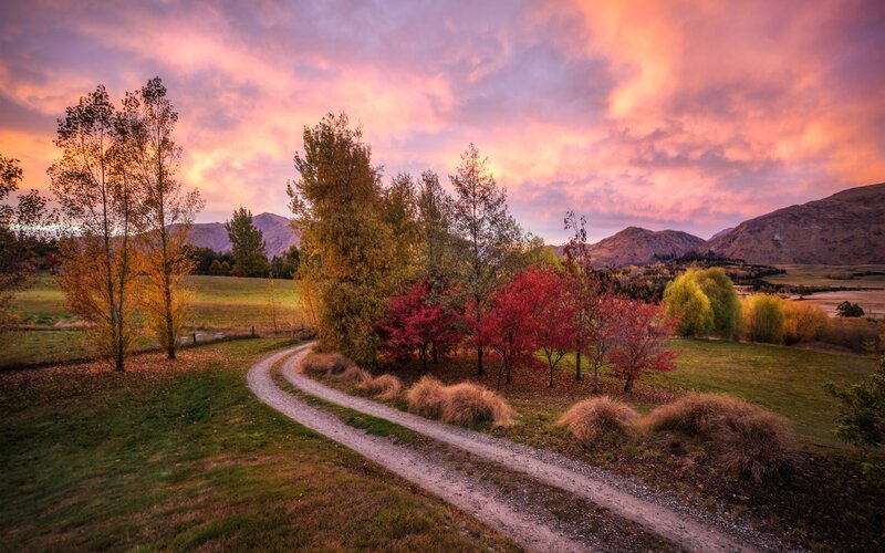 Gravel Path in Autumn — Pink, Serene