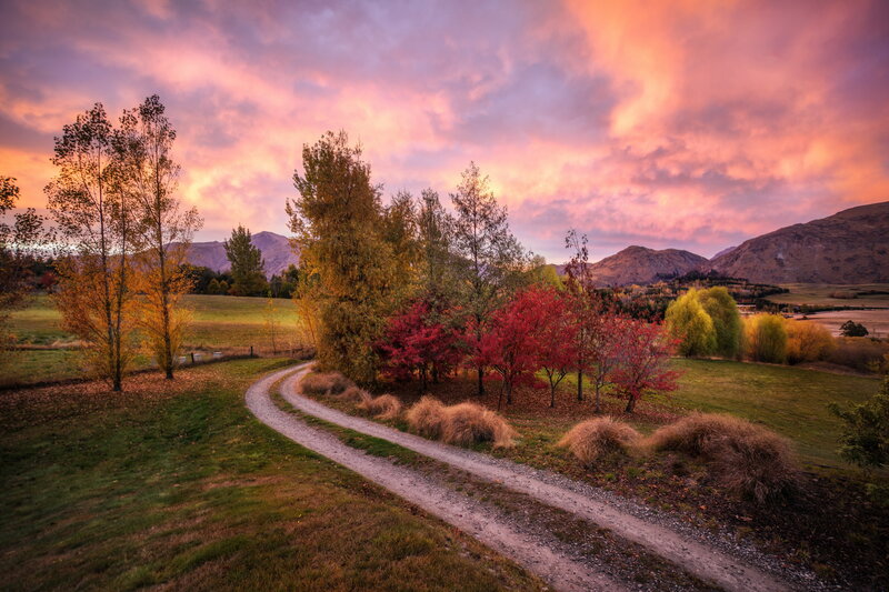 Gravel Path in Autumn — Pink