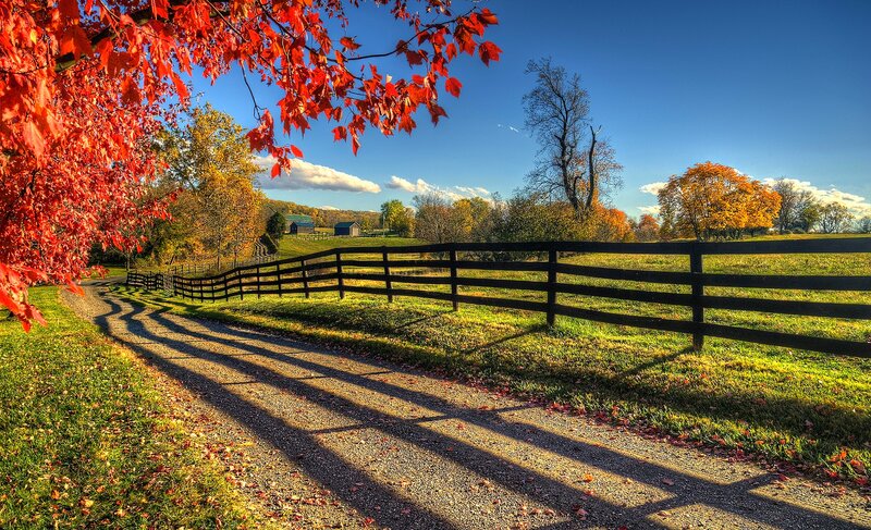 Gravel Path in Autumn — Red, Serene
