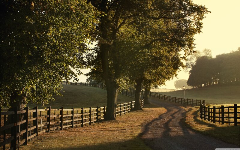 Gravel Path in Countryside — Green